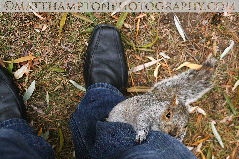Very Friendly Squirrel!