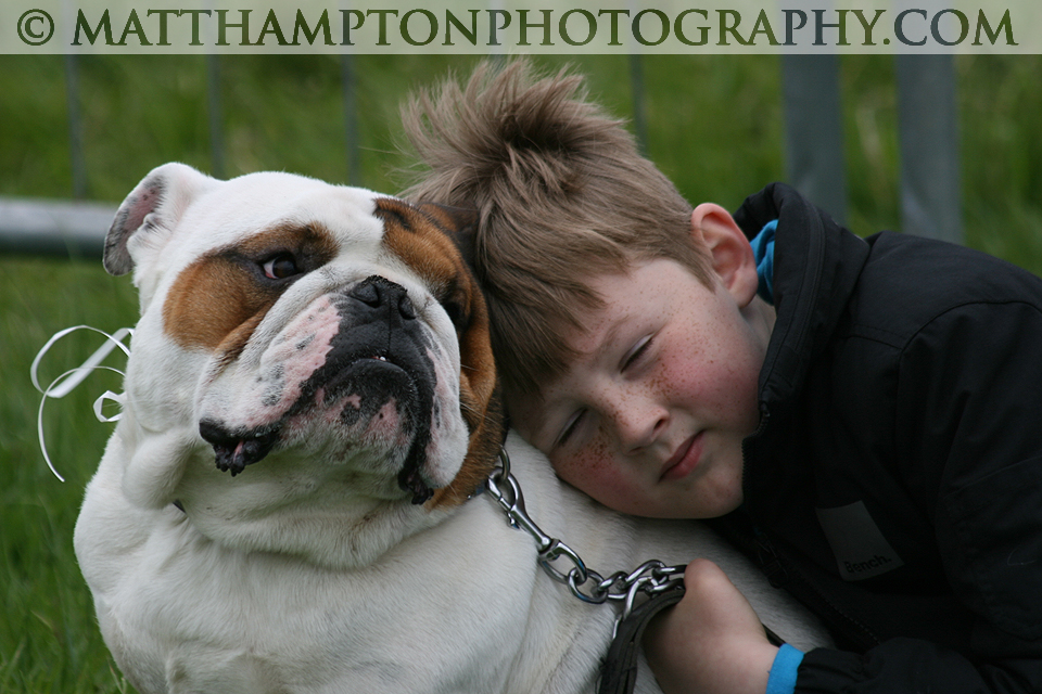 Dog Show Entry
