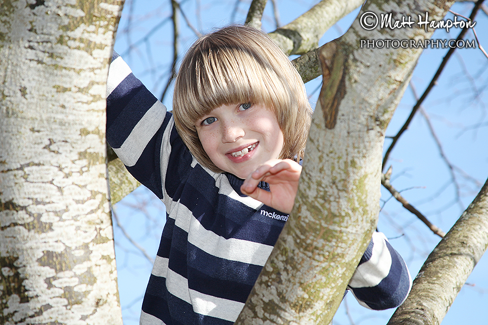 Zach up a tree
